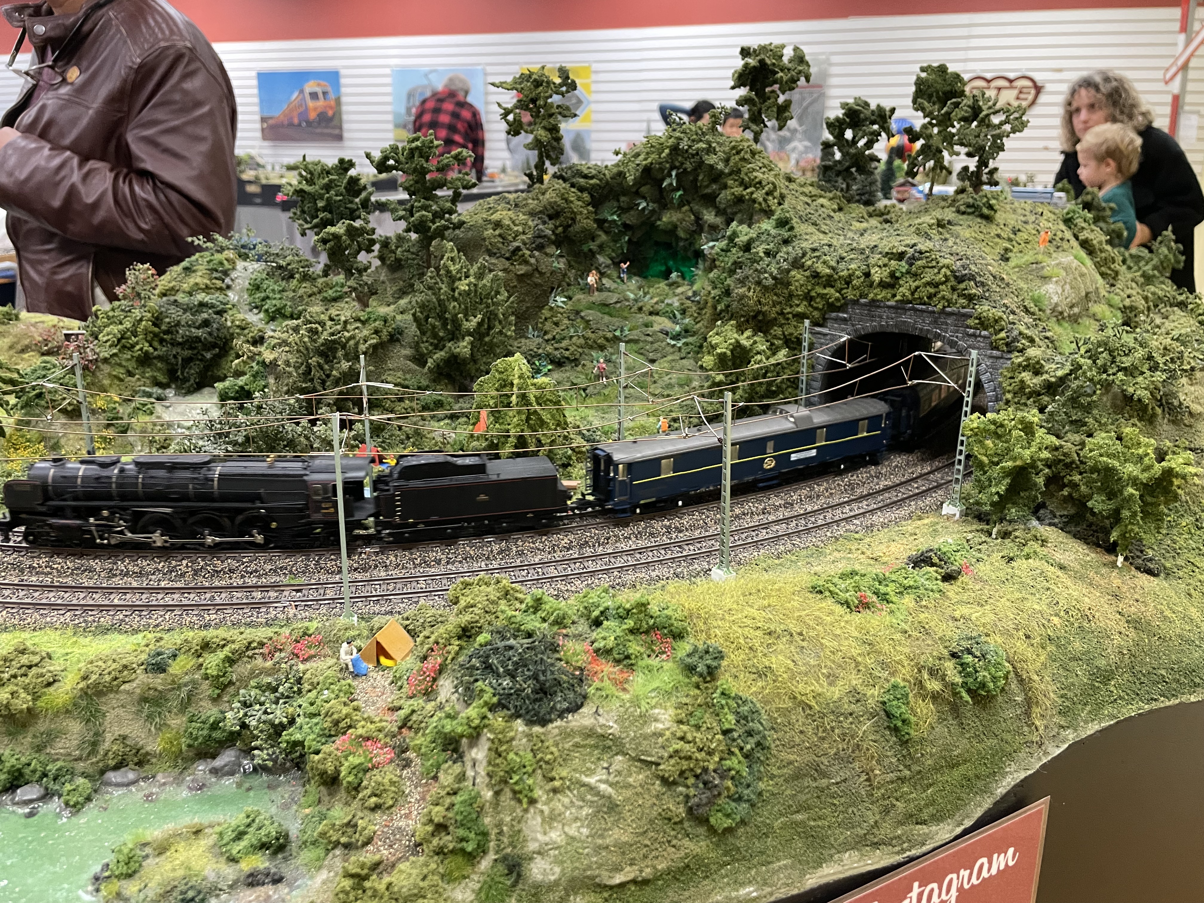 Model Train Exhibit - Photo 3