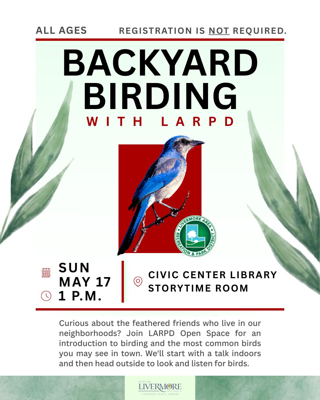 Backyard Birding with LARPD